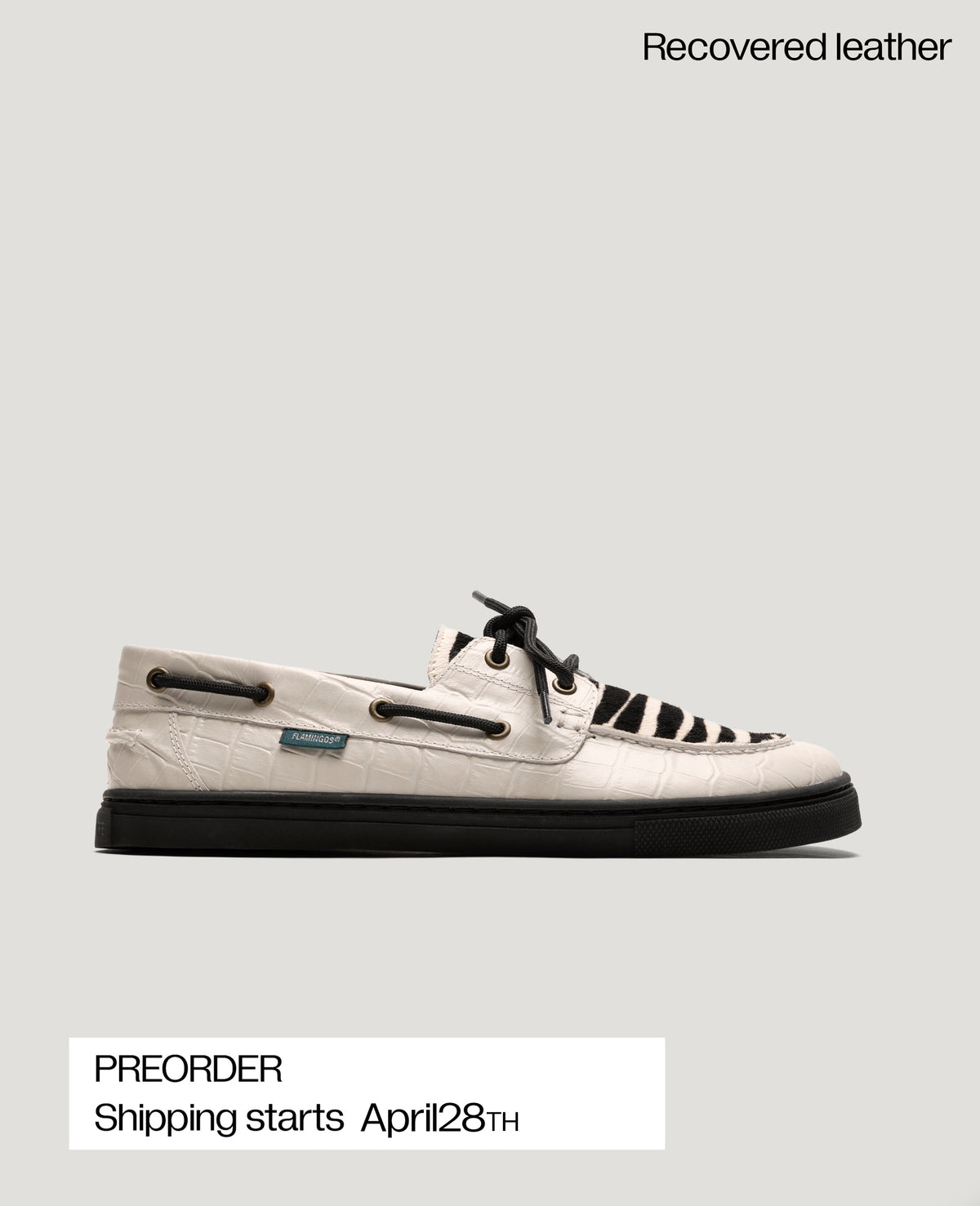 ZERO BOAT CHALK SAFARI